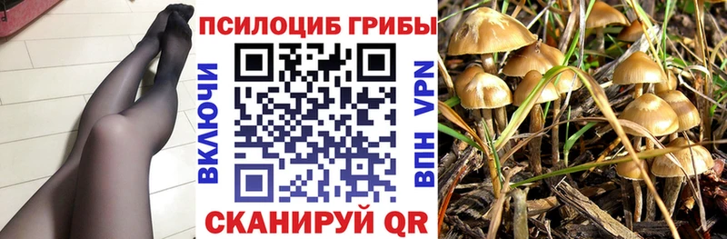 Галлюциногенные грибы GOLDEN TEACHER где купить наркоту Кущёвская